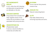OIL ANTIDOTE PORES FACIAL MASK 2.82 oz.