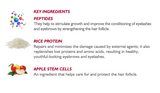 CELLULAR LASH SYSTEM EYELASH AND EYEBROWS LOTION 0.15 fl. oz.